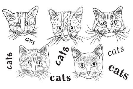 Cute cats hand drawn in the style doodleのイラスト素材
