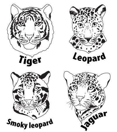 Beautiful heads of wild animal living in nature with a print texture of the skinのイラスト素材