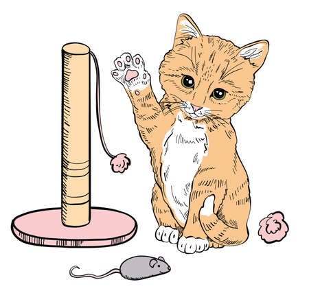 A cat set with cute kittens, soft pillows and accessories for games.のイラスト素材