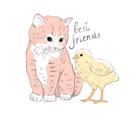 Cute and funny kitten silhouette, looking curiously, sitting with chickensのイラスト素材