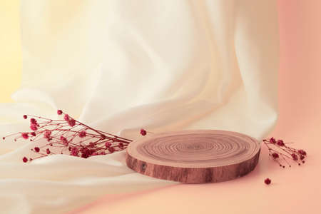 podium Round wooden cut down a tree with big shell yellow backgroundの写真素材