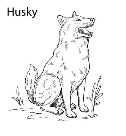 Hand-drawn vector silhouette of a husky, for the design of banners, postersのイラスト素材