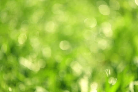 Bokeh shining background of summer greenery Summer sunshine, background of lush greenery of grass and leaves.の写真素材