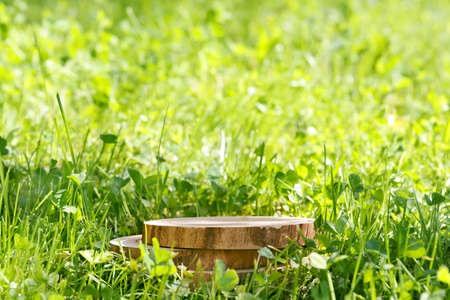 Round cut of a tree, a pedestal for an object, a podium for cosmetics. Summer sunshine, against the background of lush green grass.の写真素材