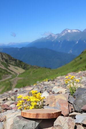 A slab with flowers is a Podium with a view of the mountains. The front showcase with a stage for products. A pedestal for the presentation of goods.の写真素材