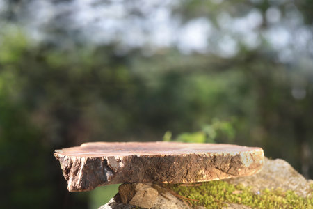 A podium made of sawn wood with a natural background on the stones. Front showcase with a stand for...
