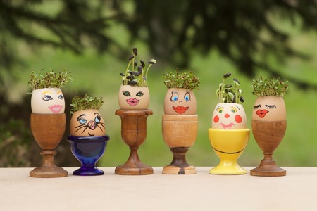 Group of eggs decorated with sprouts like hairの写真素材