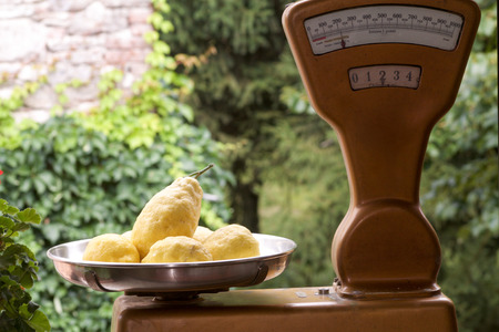 two kilograms of Amalfi lemons in old balanceの写真素材
