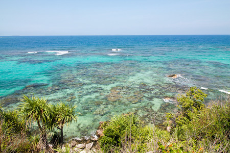 the beautiful reef near Anora beach in Karimunjawa island, Indonesiaの写真素材