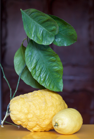 Lemon and cedar on a yellow cutting board, brown background