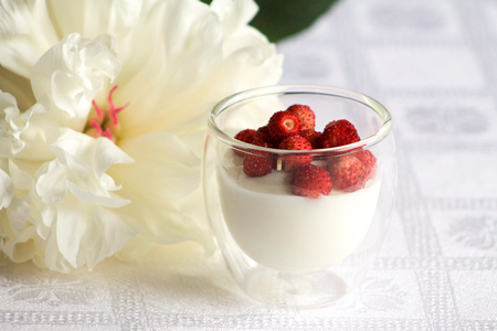 romantic breakfast  with yogurt and wild strawberry, white peony on the tableの写真素材