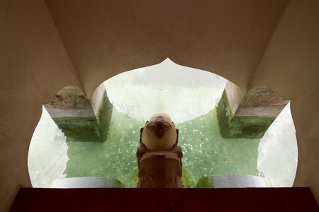 detail of Taman sari water castle in yogyakarta sultanate, Indonesiaのeditorial素材