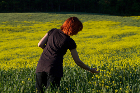 woman with red hair back collecting flower in a meadow at sunsetの写真素材