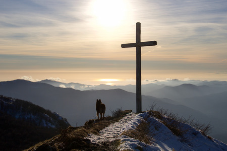 dog silhouette near a cross on the top of the mountain looking horizon, Italyの写真素材