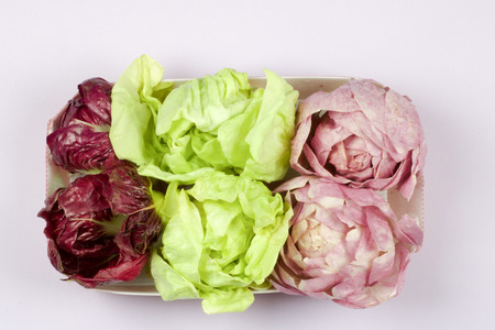 tufts of chicory in three colors in a container isolated on  light lilac background view from aboveの写真素材