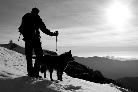 silhouettes of hiker and dog arriving on the top of the mountain, black and whiteの写真素材