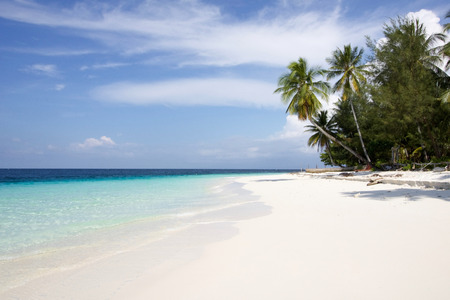 beautiful exotic beach in fam island in raja ampat archipelago, west papuaの写真素材