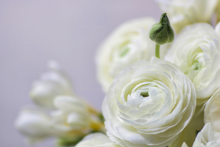 details of a wedding bouquet with white buttercups and fresia, blurred backgroundの写真素材