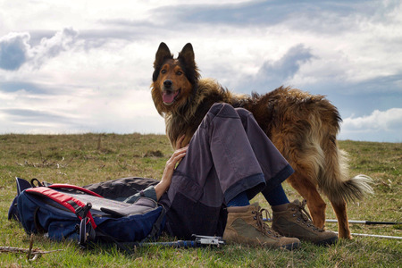 happy dog standing near his master laying on the grass on the top of the hill in relax