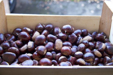 wooden box full of big ripe chestnuts, copy spaceの写真素材