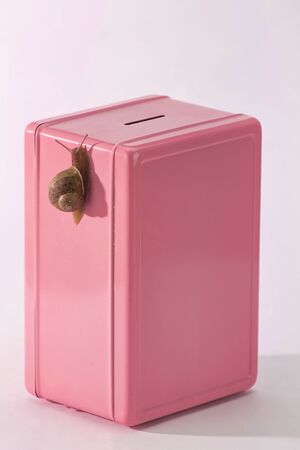 snail climbing on pink money box isolated on white, concept of slow savingの写真素材