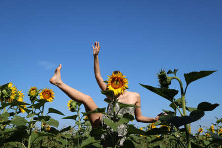 young girl playing in a sunflowers field hiding her face behind a flower, copy space