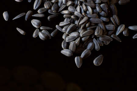 group of sunflower seeds on black background, copy spaceの写真素材