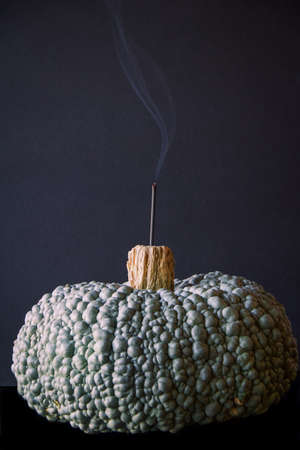 big gray pumpkin as support of incense stick, dark backgroundの写真素材