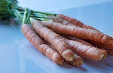 group of fresh carrots collected from the garden on light blue reflected background