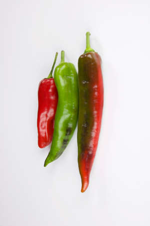 three colored peppers vertical isolated on white background