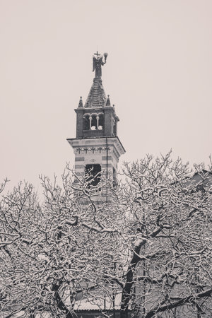 bell tower of a church during a snowfall behind tree brunches, black and whiteの写真素材