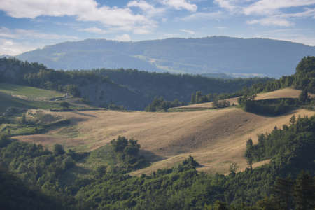 summer landscape of emilia-romagna hills, Italyの写真素材