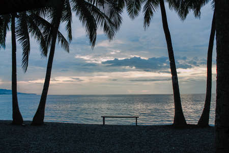wooden bench between palm trees by the sea at tropical dusk, Indonesia