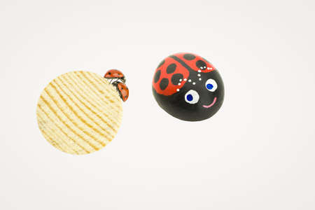 painted stone as ladybug and two real ladybugs isolated on white background, copy spaceの写真素材