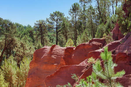 red brilliant color of ocher in the middle of the pine forest, Roussilon, France