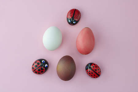 painted stone as ladybugs and painted easter eggs, pink backgroundの写真素材