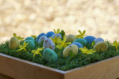group of sugar easter eggs filled with chocolate between grass and flowers, copy space