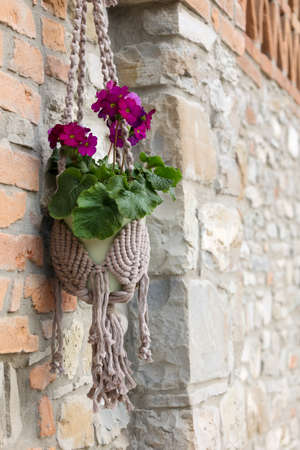 flowerpot hanging on stone wall in cotton rope holder, home decorの写真素材