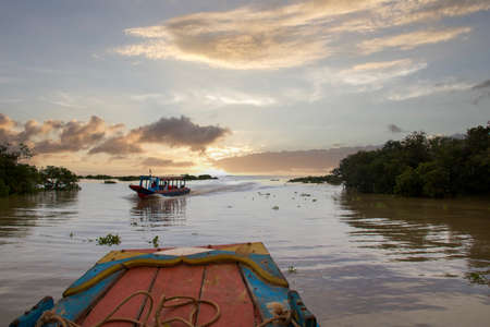 visiting on boat tonle sap lake at sunset between mangroves trees, cambodiaのeditorial素材