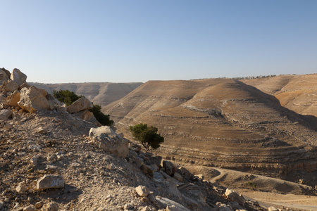 summer lanscape traveling to wadi bin hammad natural parkland and valley, Jordan