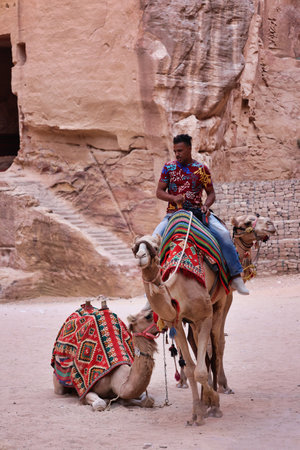 Petra, Jordan - August 31, 2022: portrait of unknown bedouin man on camel preparing animals for tourist ride in archaeological site of petra, Jordanのeditorial素材