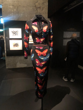Paris, France - november 12, 2022: one of model of Schiaparelli italian couturiere fashion exibition at the museum of decorative artのeditorial素材