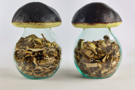 group of dried mushrooms in mushroom shaped glass jars isolated on whiteの写真素材