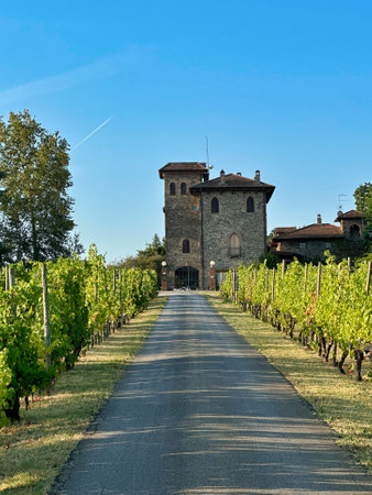 old winery in a sunny day of summer season, Italyの写真素材
