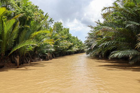 a channel on mekong delta near ben tre, Vietnamの写真素材