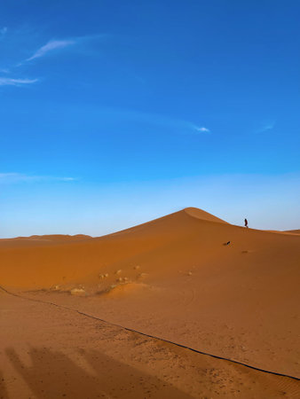 bedouin with dog on sand dunes in erg chebbi desert, Moroccoの写真素材