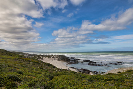 scenic view of small beach at De Hoop nature reserve, indian ocean coast. South Africa
