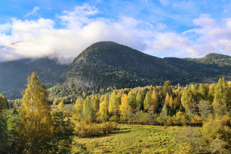 view of nature along the most scenic railway track between Oslo and Bergen, Norwayの写真素材