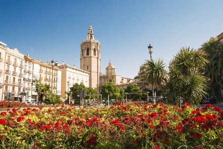 Valencia, Spain - 07/21/2019 - Plaza De La Reina Located in the heart of the old town of Valencia. It is a beautiful square with flowers in the middle and cafes, restaurants.のeditorial素材