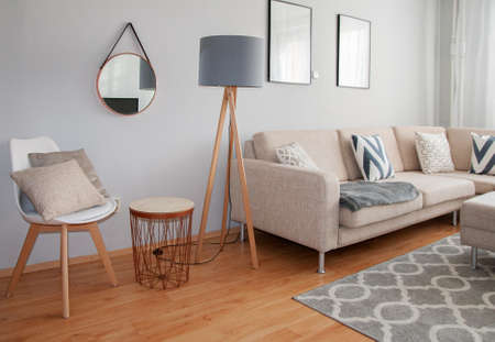 Scandinavian Minimalism Design. Beautiful Living room Decorated in the Grey and Beige Colors....